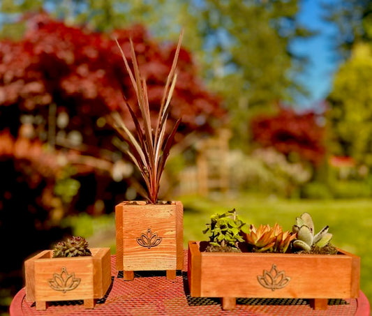 Geta Boxes for Flowers, Plants, or Home