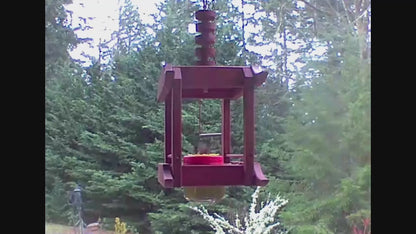 Hummingbird Feeder